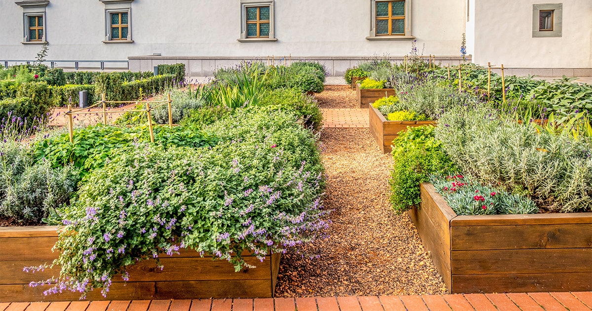 Raised garden bed in courtyard